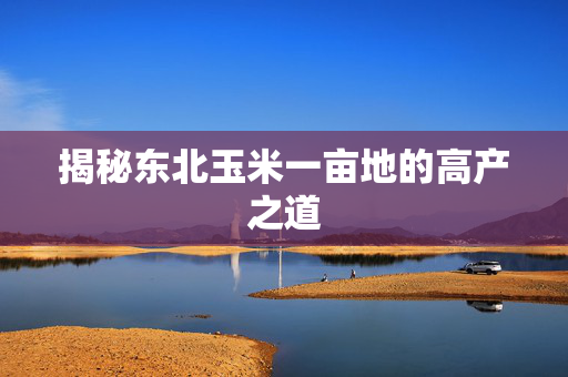 揭秘东北玉米一亩地的高产之道