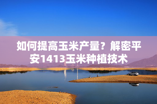 如何提高玉米产量？解密平安1413玉米种植技术