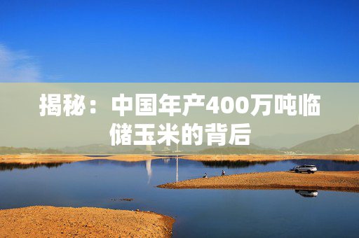 揭秘：中国年产400万吨临储玉米的背后