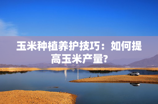玉米种植养护技巧：如何提高玉米产量?