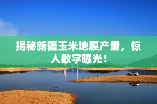 揭秘新疆玉米地膜产量，惊人数字曝光！