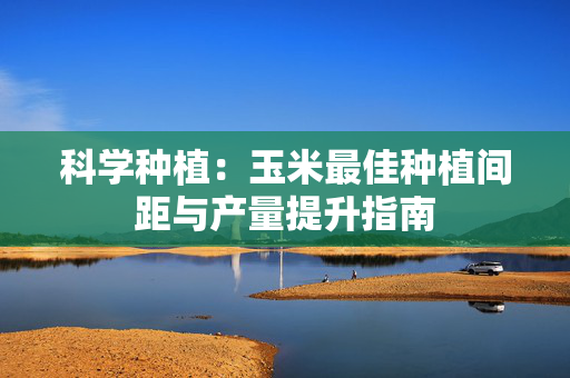 科学种植：玉米最佳种植间距与产量提升指南