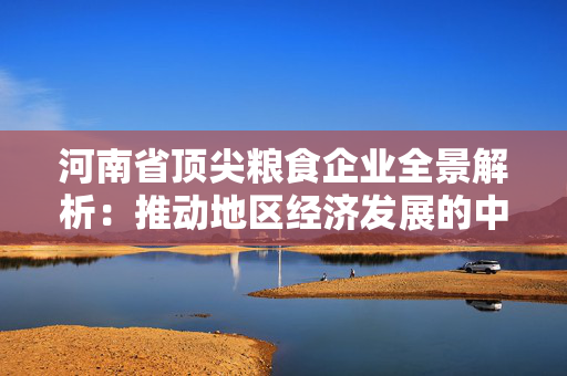 河南省顶尖粮食企业全景解析：推动地区经济发展的中坚力量