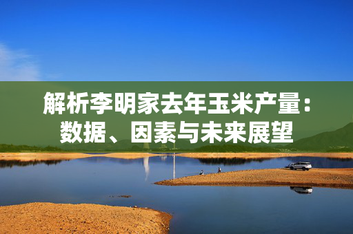 解析李明家去年玉米产量：数据、因素与未来展望