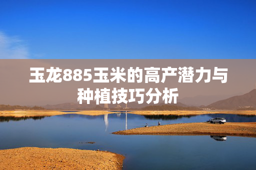 玉龙885玉米的高产潜力与种植技巧分析