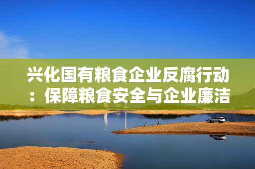 兴化国有粮食企业反腐行动：保障粮食安全与企业廉洁经营