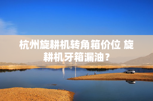 杭州旋耕机转角箱价位 旋耕机牙箱漏油？
