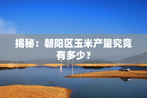 揭秘：朝阳区玉米产量究竟有多少？