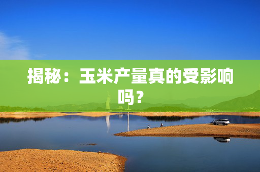 揭秘：玉米产量真的受影响吗？
