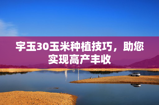 宇玉30玉米种植技巧，助您实现高产丰收