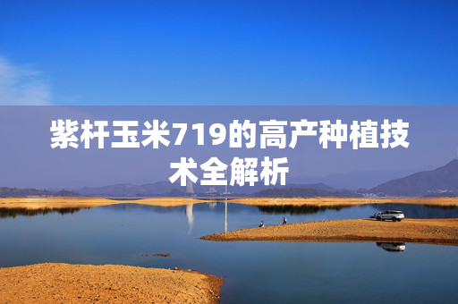 紫杆玉米719的高产种植技术全解析