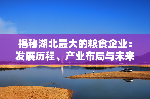 揭秘湖北最大的粮食企业：发展历程、产业布局与未来展望