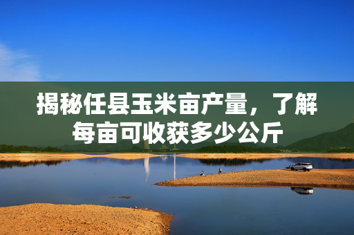 揭秘任县玉米亩产量，了解每亩可收获多少公斤