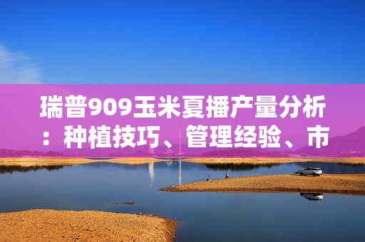 瑞普909玉米夏播产量分析：种植技巧、管理经验、市场前景