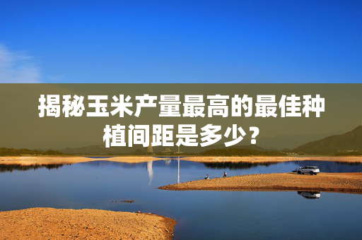 揭秘玉米产量最高的最佳种植间距是多少？