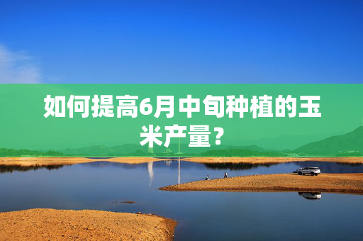 如何提高6月中旬种植的玉米产量？