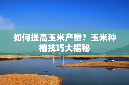 如何提高玉米产量？玉米种植技巧大揭秘