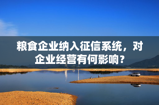 粮食企业纳入征信系统，对企业经营有何影响？