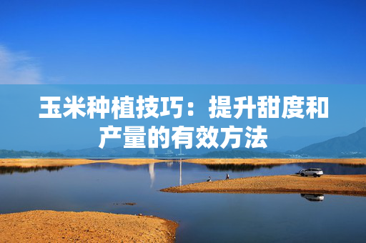 玉米种植技巧：提升甜度和产量的有效方法