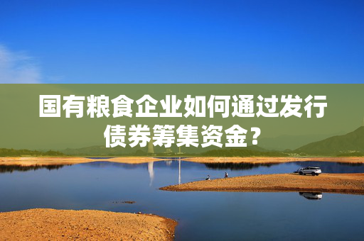 国有粮食企业如何通过发行债券筹集资金？