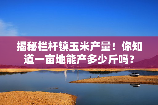 揭秘栏杆镇玉米产量！你知道一亩地能产多少斤吗？