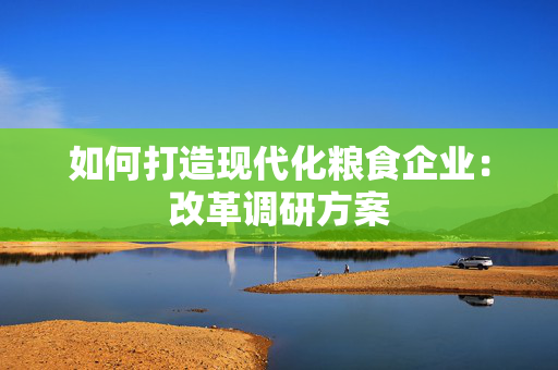 如何打造现代化粮食企业：改革调研方案