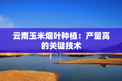 云南玉米烟叶种植：产量高的关键技术