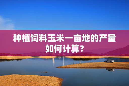 种植饲料玉米一亩地的产量如何计算？