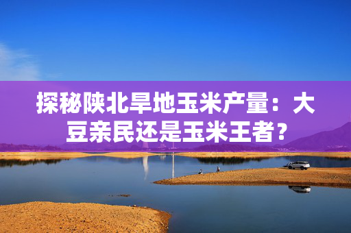 探秘陕北旱地玉米产量：大豆亲民还是玉米王者？