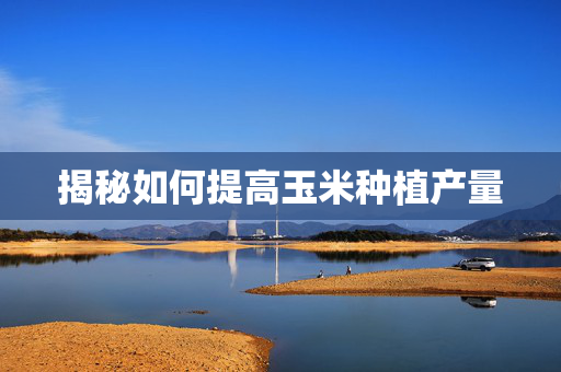 揭秘如何提高玉米种植产量