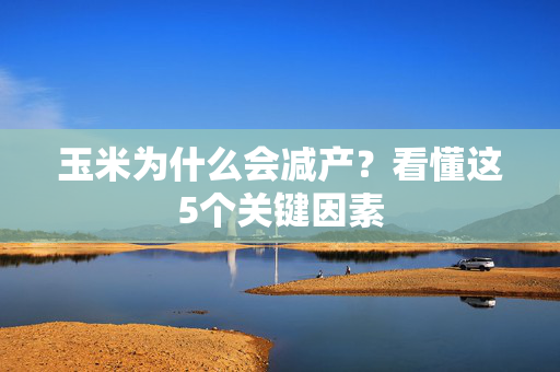 玉米为什么会减产？看懂这5个关键因素