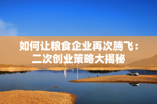 如何让粮食企业再次腾飞：二次创业策略大揭秘