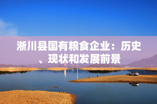 淅川县国有粮食企业：历史、现状和发展前景