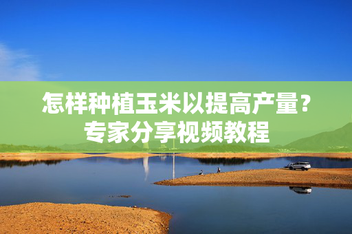 怎样种植玉米以提高产量？专家分享视频教程
