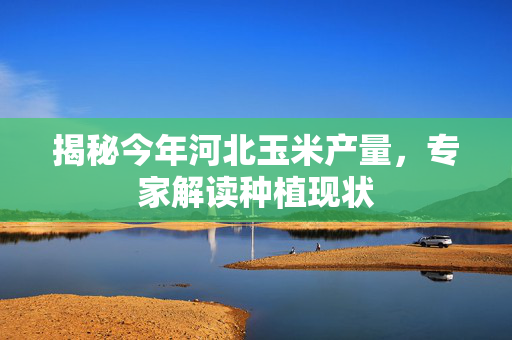 揭秘今年河北玉米产量，专家解读种植现状