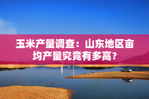 玉米产量调查：山东地区亩均产量究竟有多高？