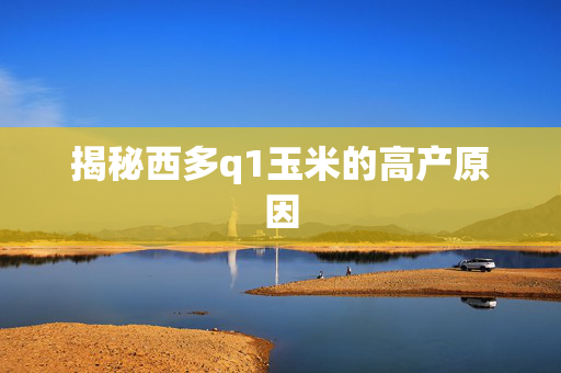 揭秘西多q1玉米的高产原因