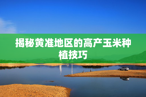 揭秘黄准地区的高产玉米种植技巧