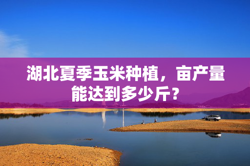 湖北夏季玉米种植，亩产量能达到多少斤？
