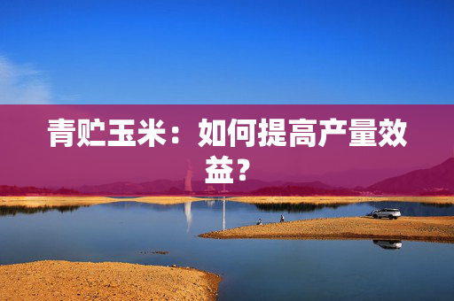 青贮玉米：如何提高产量效益？