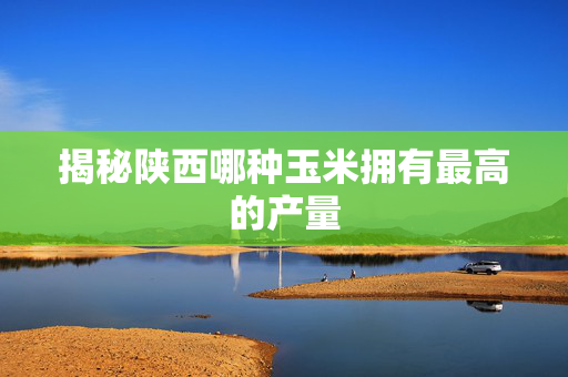 揭秘陕西哪种玉米拥有最高的产量