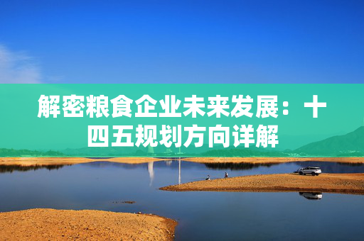 解密粮食企业未来发展：十四五规划方向详解