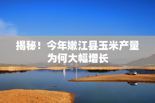 揭秘！今年嫩江县玉米产量为何大幅增长