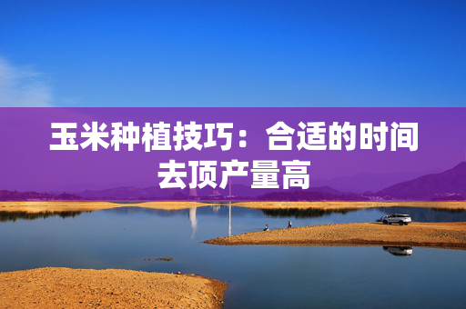 玉米种植技巧：合适的时间去顶产量高