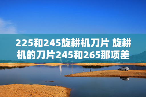 225和245旋耕机刀片 旋耕机的刀片245和265那项差多少？