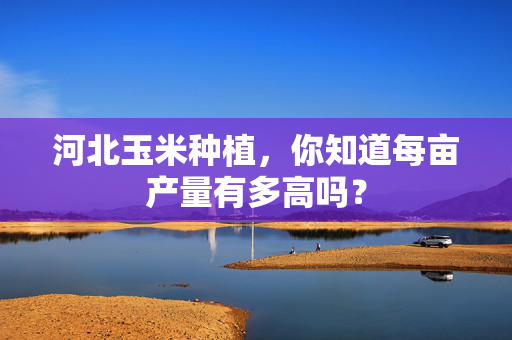河北玉米种植，你知道每亩产量有多高吗？
