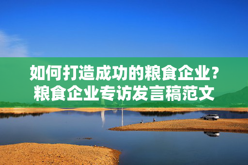 如何打造成功的粮食企业？粮食企业专访发言稿范文