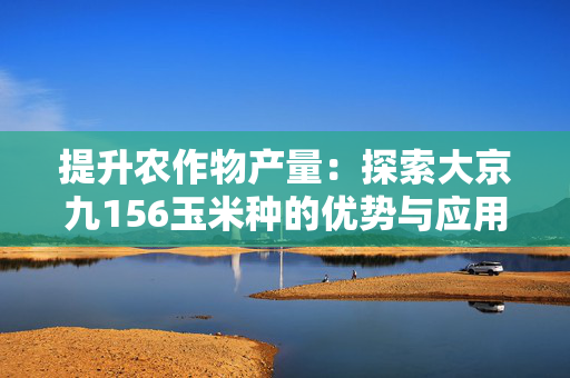 提升农作物产量：探索大京九156玉米种的优势与应用