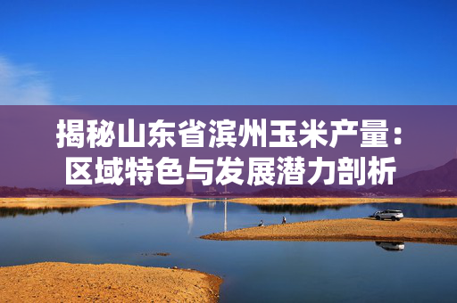 揭秘山东省滨州玉米产量：区域特色与发展潜力剖析