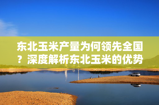 东北玉米产量为何领先全国？深度解析东北玉米的优势与挑战